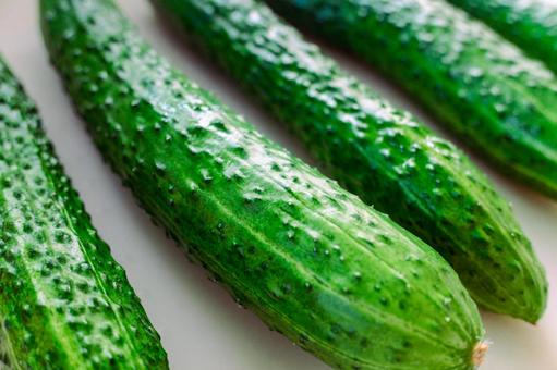 Cucumber with warts Close-up 2, JPG