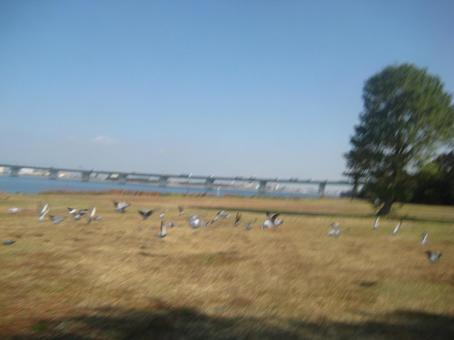 公園 公園の写真