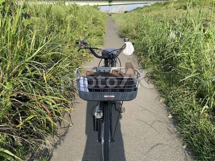 夏の日差しまぶしいサイクリングコース 新緑,遊歩道,散歩の写真素材