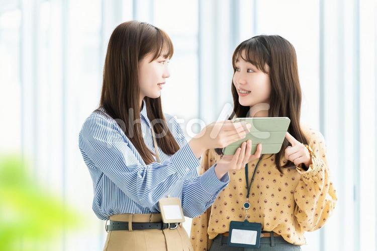 ミーティングをする2人のビジネスウーマン 女性,ビジネス,ミーティングの写真素材
