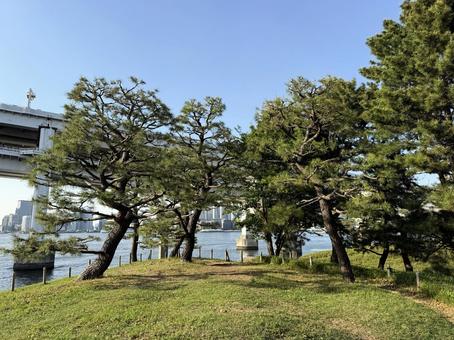 2025年春 昼間の東京お台場の風景 2025年春 昼間の東京お台場の風景 都心,さわやか,りんかい線の写真素材