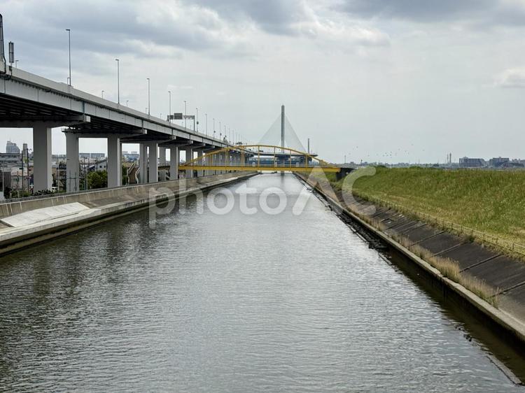曇り空　春の荒川の河川敷 四つ木,春,原っぱの写真素材