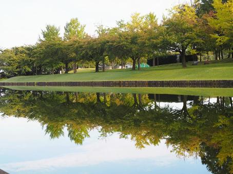 秋の公園　紅葉の映る水路② 水路,水辺,水の写真素材