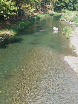 田舎の清流 清流,川,河川の写真素材