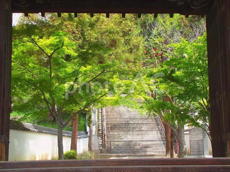 【風景写真】ある.お寺の風景 自然,風景,景色の写真素材