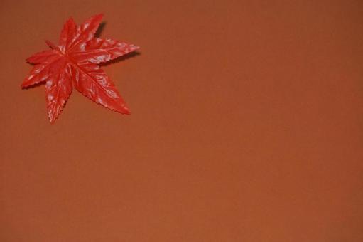 Maple background, JPG Maple background, JPG