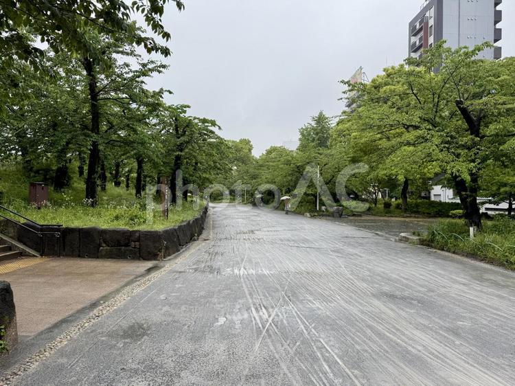 雨の日の墨田公園 地面,べちゃべちゃ,足跡の写真素材