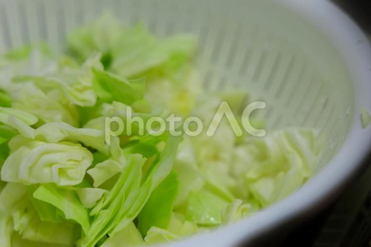 キャベツのざく切り「食材」 キャベツ,ざく切り,カットの写真素材