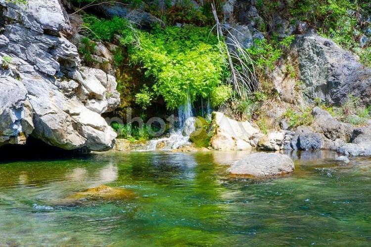 澄んだ川に流れ込む滝 川,清流,渓流の写真素材