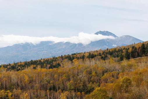秋の三国峠 三国峠,秋,紅葉の写真素材