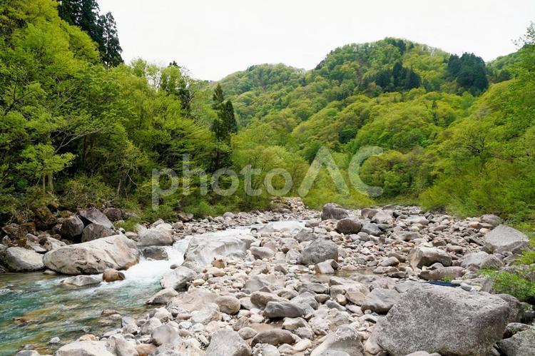 県名「石川」の由来となった手取川の上流 白山,手取川,国立公園の写真素材
