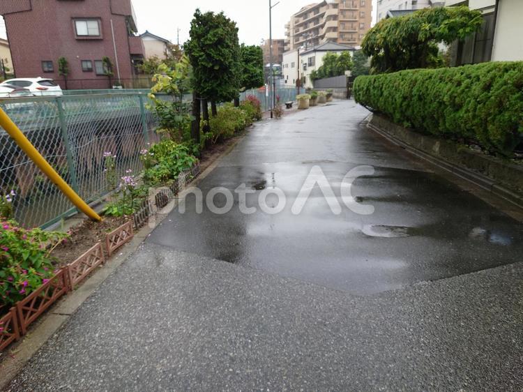 雨の日・濡れた道路と水たまり 雨,道路,水たまりの写真素材