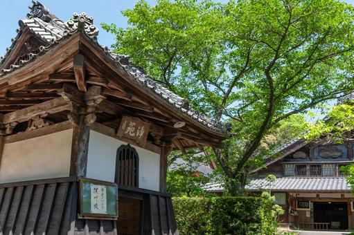 龍潭寺の東門(旧鐘楼堂)と庫裡(静岡) 龍潭寺の東門(旧鐘楼堂)と庫裡(静岡) 龍潭寺,浜松市,井伊谷の写真素材