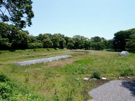 Photo, odawara castle park, kanagawa prefecture, odawara city castle, 