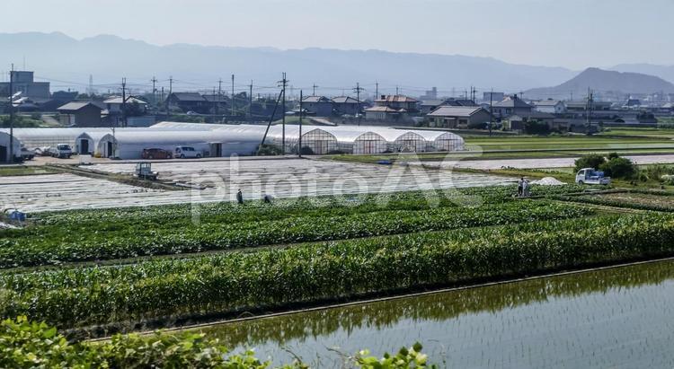 田舎の風景 ビニールハウス,山,民家の写真素材
