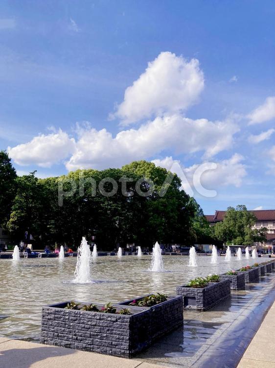 東京風景・上野公園 上野公園,上野恩賜公園,噴水広場の写真素材