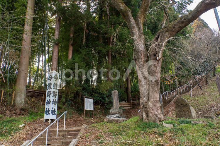 今熊野神社⑴ 神社,神社仏閣,今熊野神社の写真素材