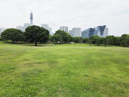 風景 横浜 大規模地震デマ 臨港パーク 風景 横浜 大規模地震デマ 臨港パーク 風景,神奈川県,横浜の写真素材