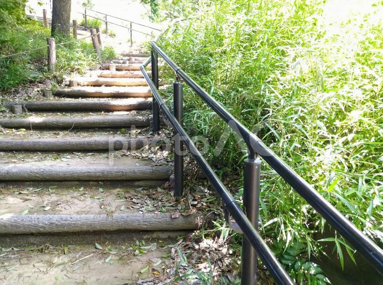 公園の階段 階段,グリーン,公園の写真素材