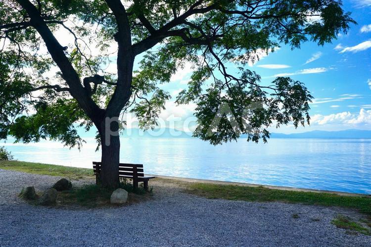 湖の畔にあるベンチ【滋賀県彦根市】 琵琶湖,湖,湖畔の写真素材