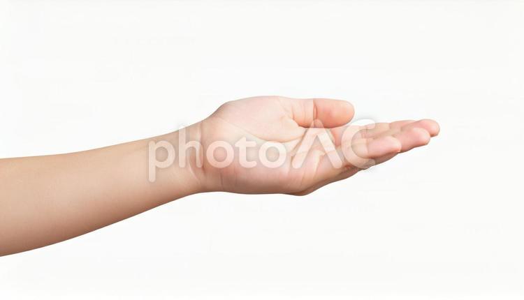 手のひら 女の子4 手のひら,女の子,人物の写真素材