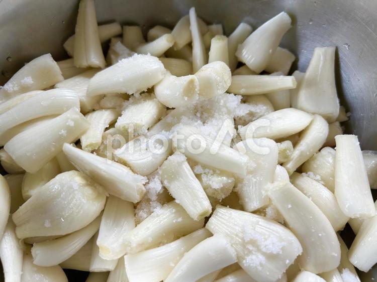 らっきょうに塩を振り甘酢漬けに手作り（横 らっきょう,らっきょう漬け,甘酢漬けの写真素材
