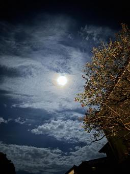 Photo, month, night sky, background material, 