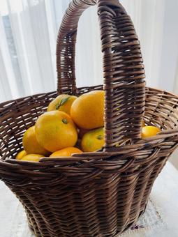 カゴに入ったミカン みかん,ミカン,蜜柑の写真素材