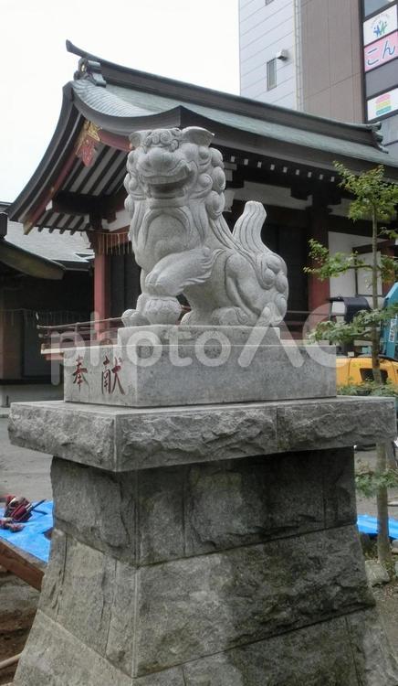柏神社の風景-4 柏神社,千葉県柏市,天王様の写真素材