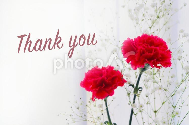ありがとう（thankyou）メッセージ ありがとう,母の日,メッセージの写真素材