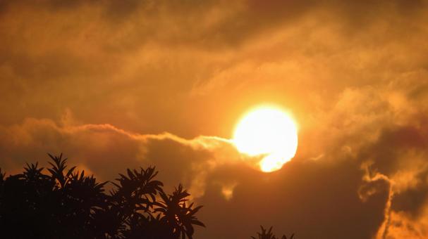 夕陽に染まる雲 夕陽に染まる雲の写真