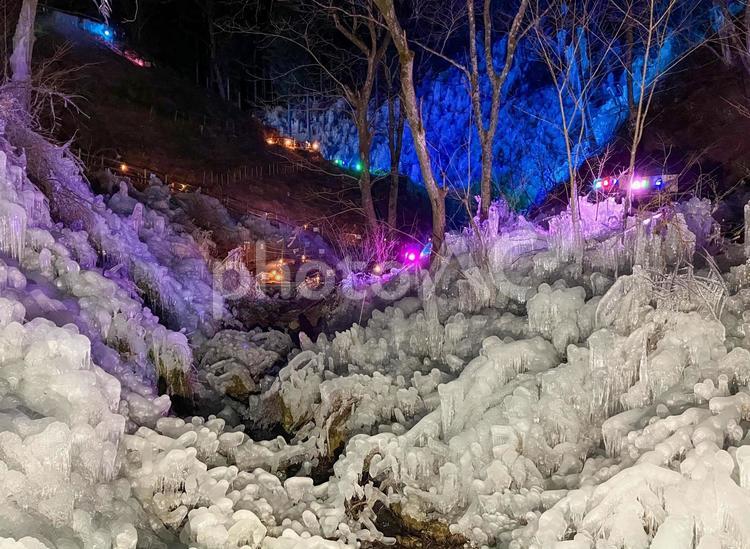 あしがくぼの氷柱　ライトアップ あしがくぼの氷柱,氷柱,ライトアップの写真素材