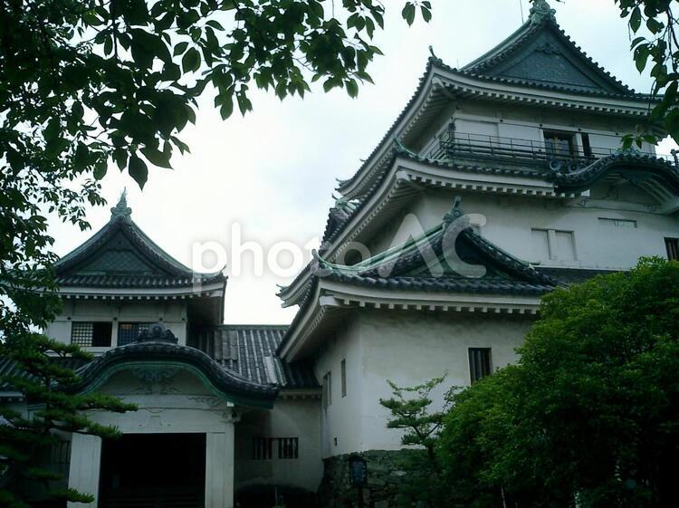 和歌山城大天守と小天守 和歌山城の写真素材