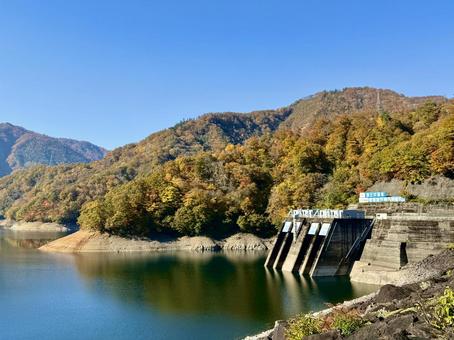 秋の福井県の九頭竜ダム　紅葉に色づく湖 秋,晩秋,九頭竜ダムの写真素材