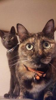 お!何かある! お!何かある!の写真