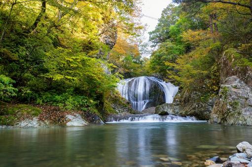 秋の関山大滝⑷の写真