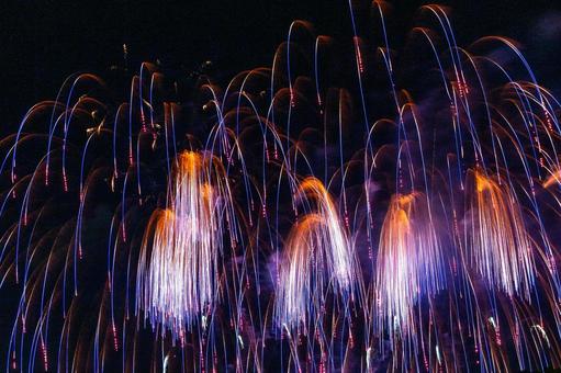 Purple fireworks blooming like weeping willows, JPG Purple fireworks blooming like weeping willows, JPG