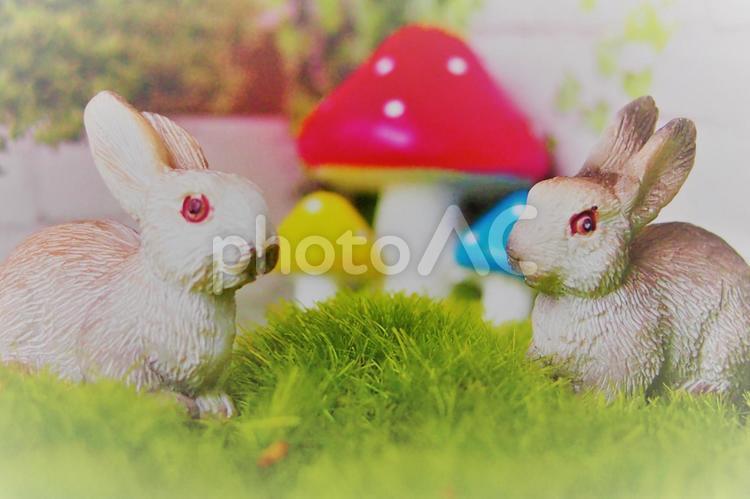 ミニチュアのウサギと毒キノコ うさぎ,毒きのこ,ミニチュアの写真素材