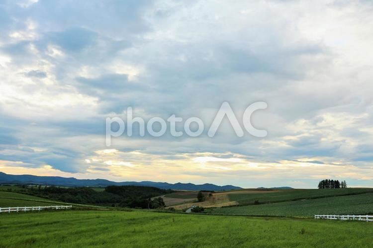 北海道　美瑛　風景　2022/7 北海道,美瑛,旅行の写真素材