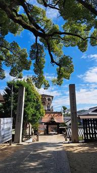 尾道　艮（うしとら）神社の境内からの景色 艮神社,うしとら神社,尾道市の写真素材