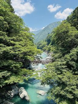祖谷かずら橋 祖谷かずら橋 祖谷渓,祖谷,いやの写真素材