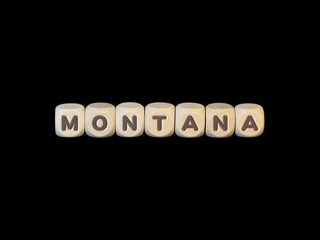 文字ブロック『モンタナ州』 文字ブロック『モンタナ州』 文字,文字ブロック,キューブの写真素材
