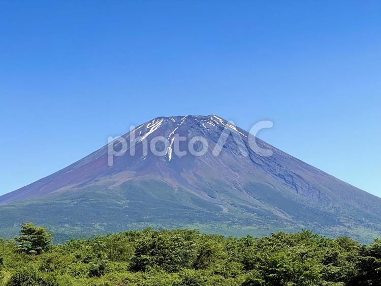 新緑と初夏の富士山 富士山,コピースペース,壁紙の写真素材