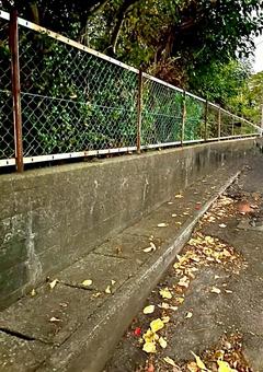 散歩道 散歩,道,小道の写真素材