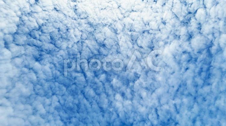 爽やかな青空とひつじ雲 3 爽やかな空,青空,鮮やかの写真素材
