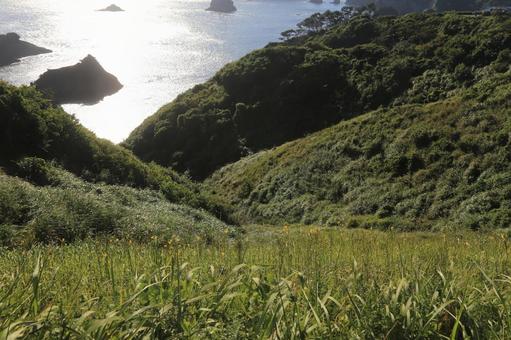 伊豆半島最南端のユウスゲ公園の景色 伊豆半島最南端のユウスゲ公園の景色の写真