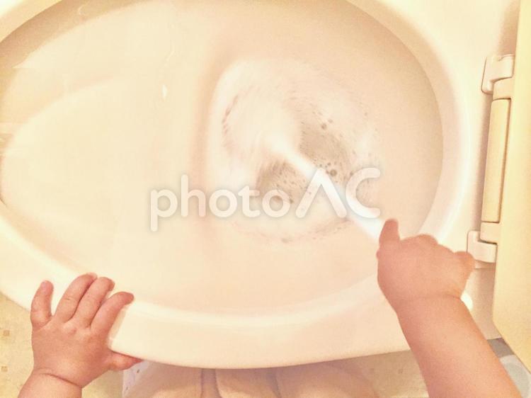お手伝いをする子供の手 (トイレ掃除) トイレ掃除,水回り,子供の手の写真素材