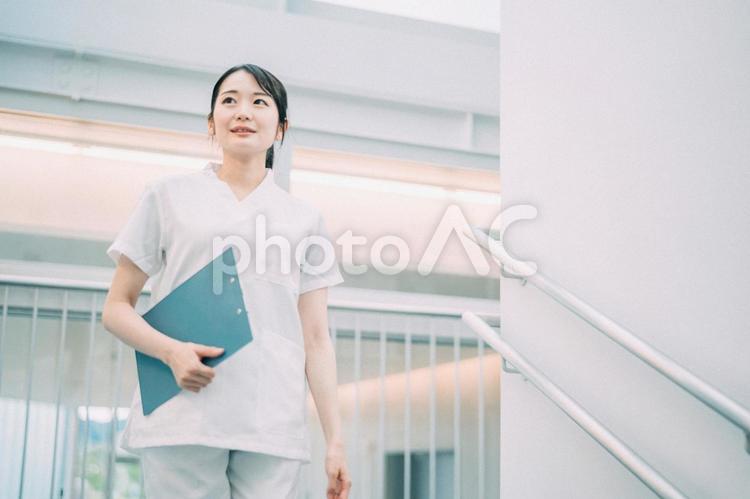 病院で働く医療スタッフ（看護師） 看護師,ナース,歯科衛生士の写真素材
