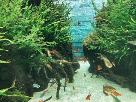 水族館 水族館の写真