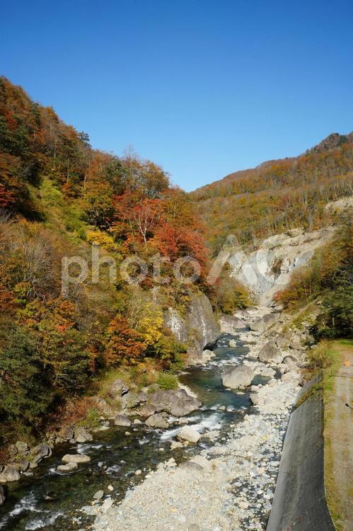 241104秋山郷切明橋 長野県,栄村,中津川の写真素材